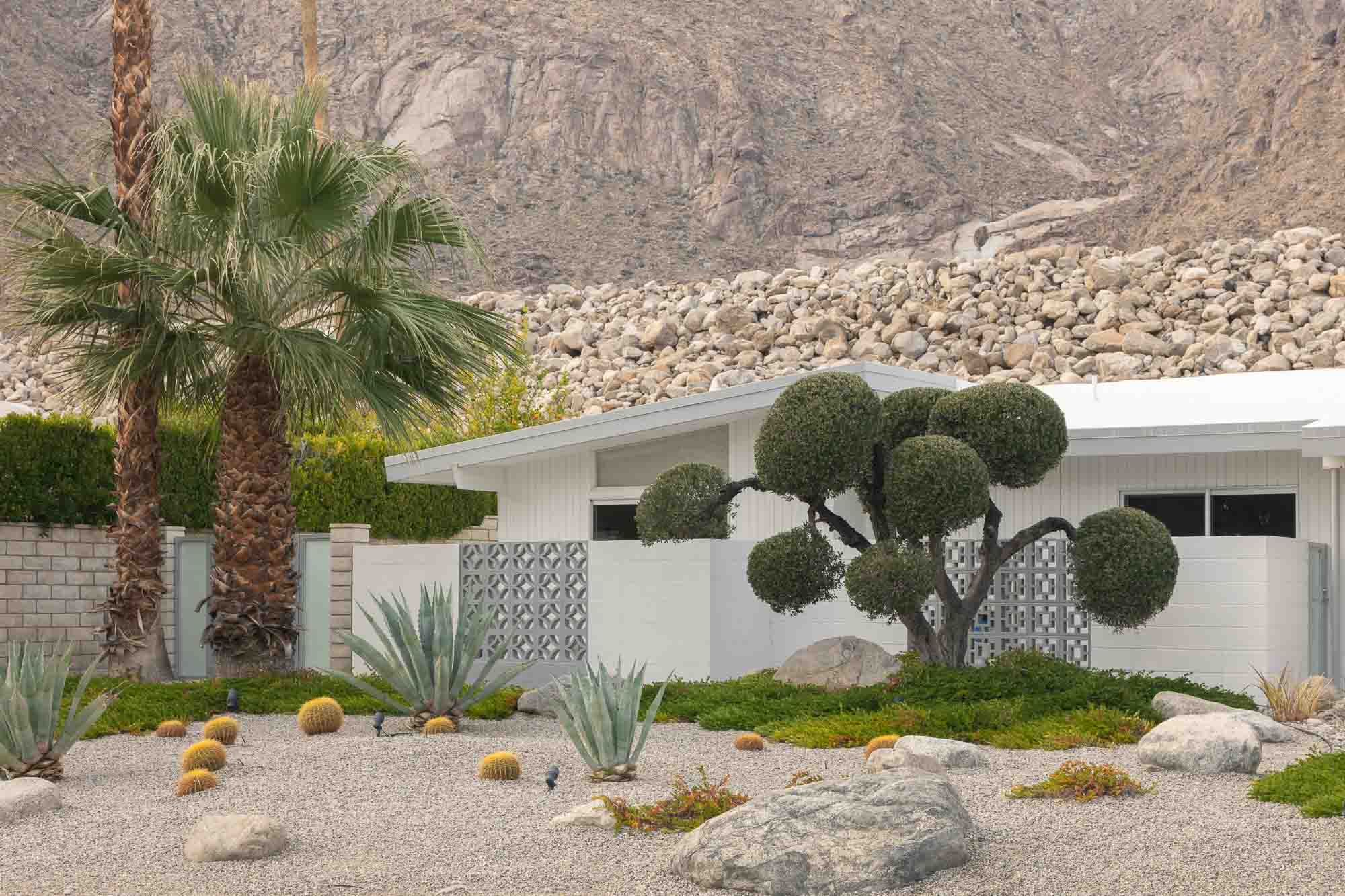 Mid-Century Topiary