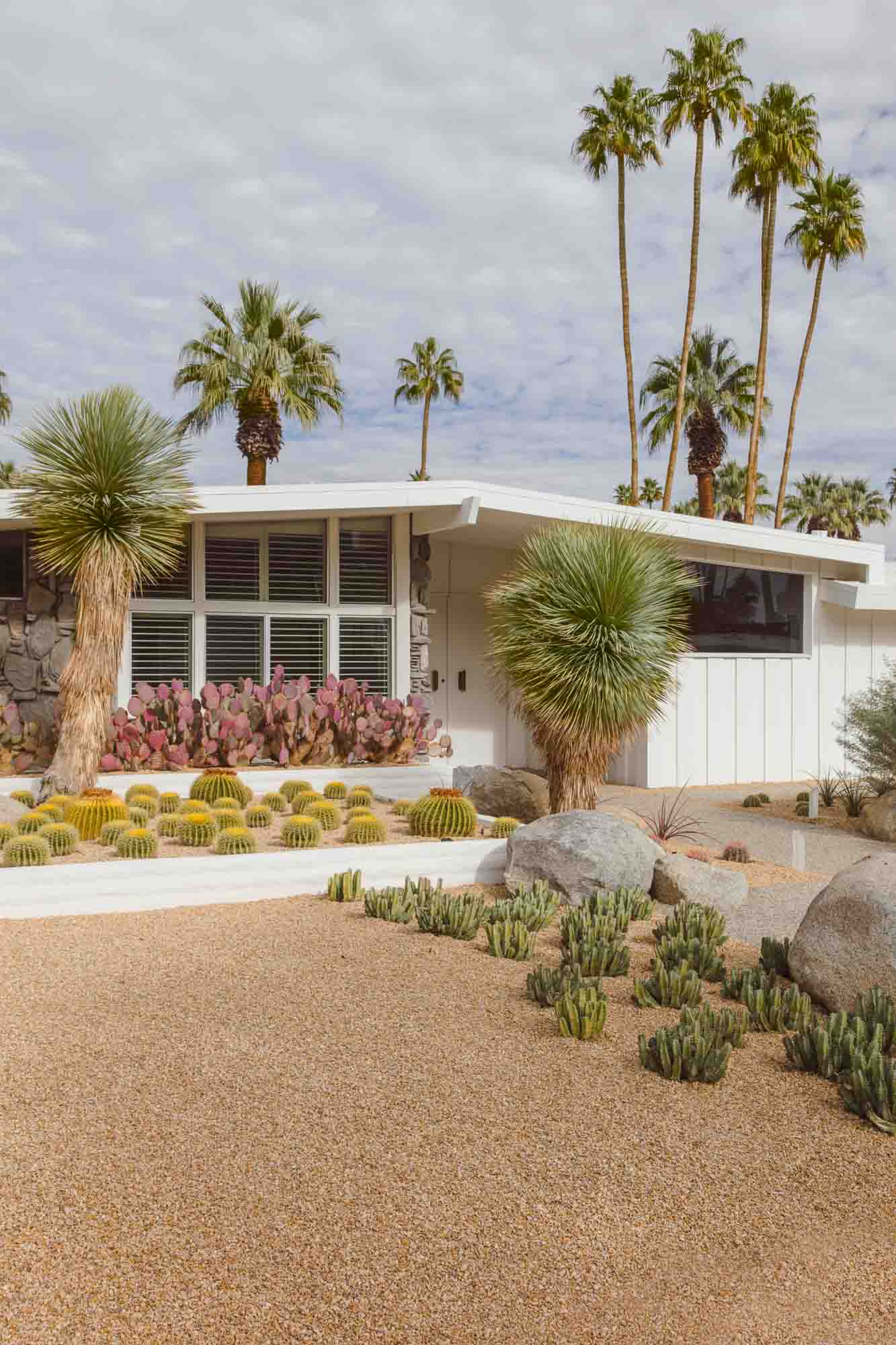 Palm Garden