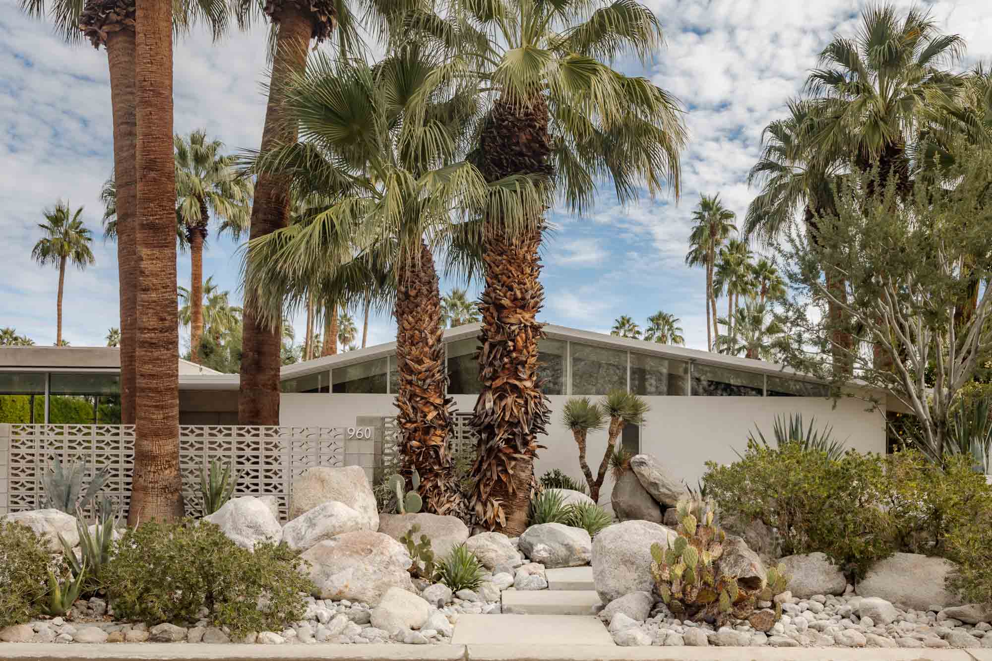 Palm Rise