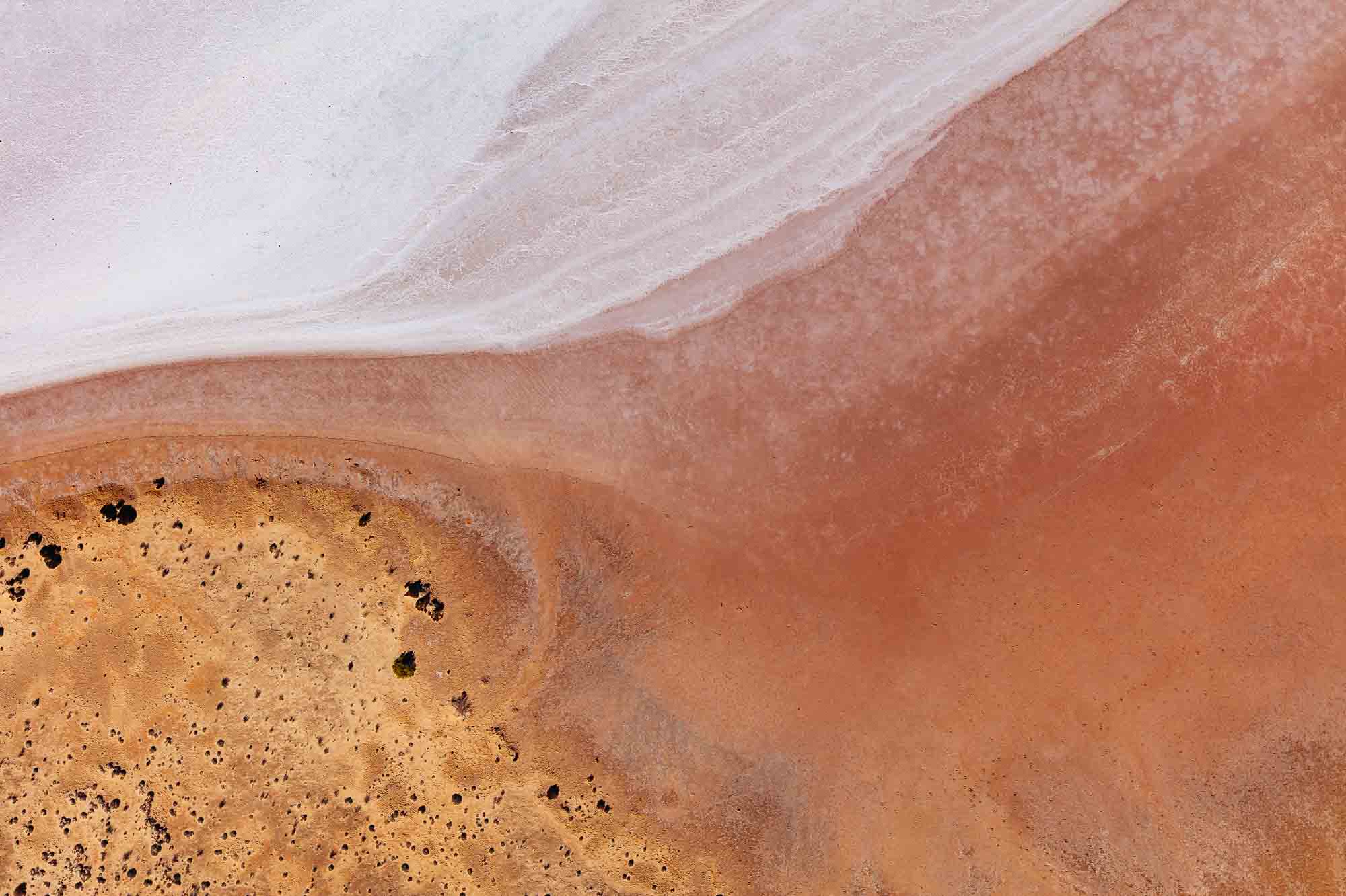 Desert Veins
